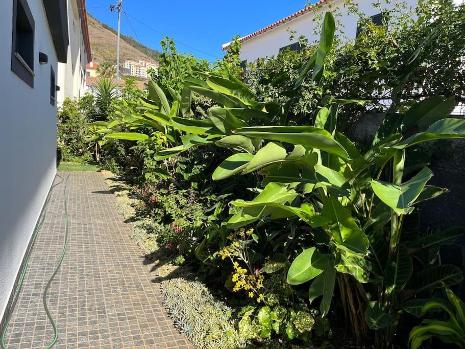 Moradia Com Piscina No Canico Εξωτερικό φωτογραφία